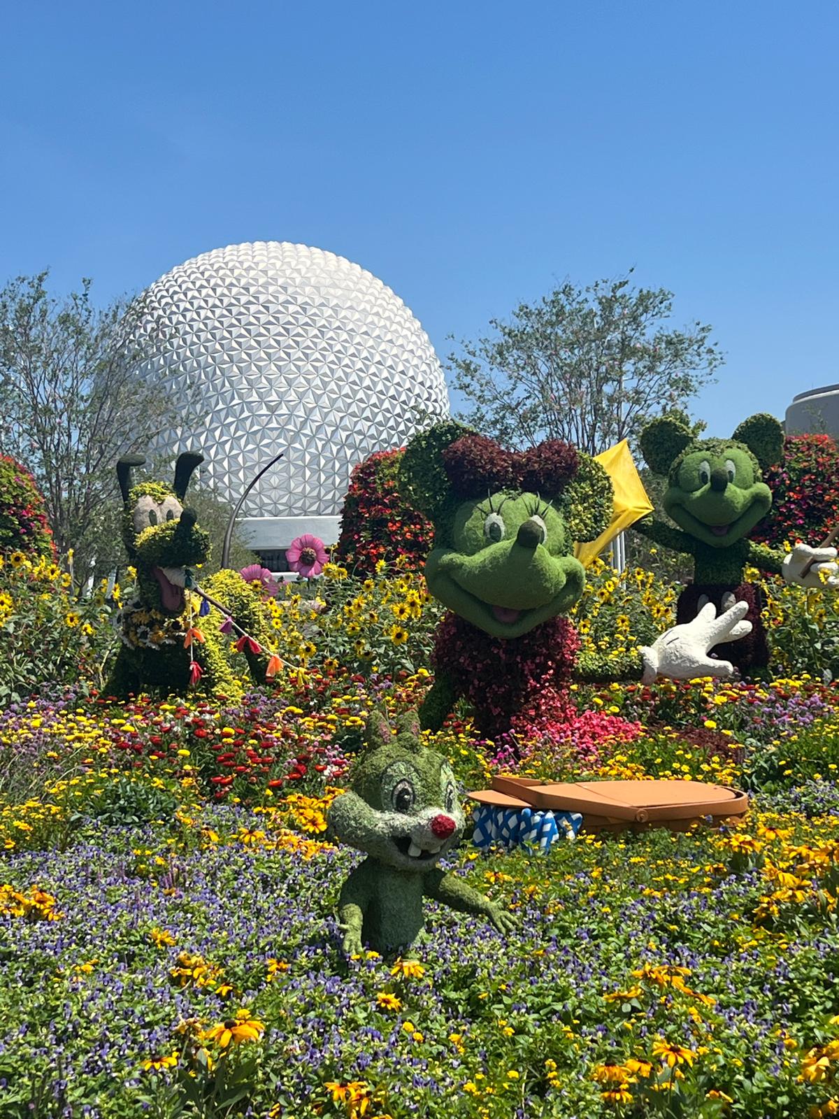 WhatsApp Image 2025-05-29 at 11.35.31 AM (1)